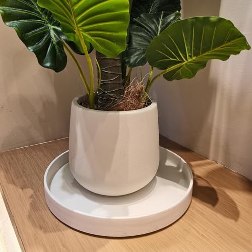 Ceramic Plant Saucer Pot Tray 14.5 Inch, Frosted White Planter Saucers 5 7 9 10 12 15 Inch for Indoors Outdoor, Flower Pot Saucers for Holding Water Drips and Soil - Image 6