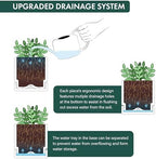 D'vine Dev 3-Pack Acrylic Herb Planter Pots, 4 in, Clear, 76-Y-D-1 - Image 4