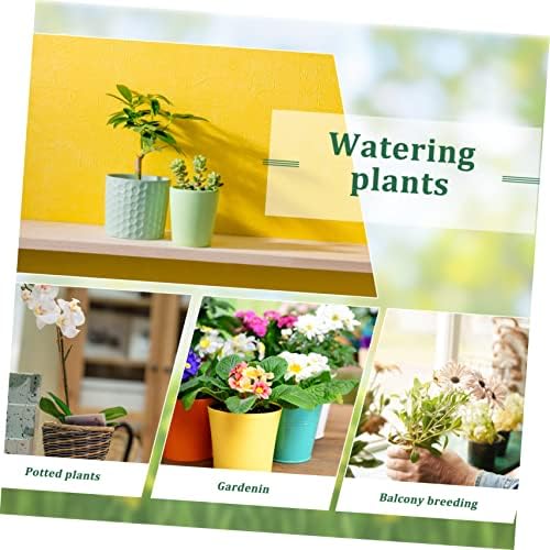 Mini Long Spout Watering Kettle Garden Plant Water Sprayer 1000ml Capacity - Image 6