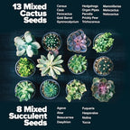 HOME GROWN Succulent & Cactus Seed Starter Kit, DIY Gardening Gift - Image 3