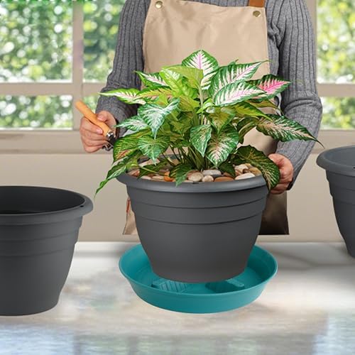 4 Pack Plant Saucer 14 inch, Plastic Plant Saucers for Indoors, Raised Middle Plant Trays for Pots, Water Tray for Plants, Plant Stand Water Catcher Tray, Pot Saucers for Plants - Image 7
