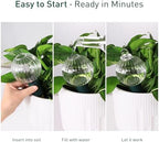 12 oz Up to 1 Week Glass Plant Watering Globe with Terracotta Spikes - Image 5