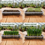 RooTrimmer 1020 Nursery Pot Trays 5 Pack, Transparent Plastic Flat Seed Starter Tray, Durable Square Seedling Starting Tray for Holding and Carrying Plant Pots (Clear) - Image 5