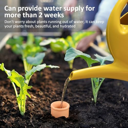 3pcs Ollas 10×3.5×3.5inch Terracotta Watering Pots Self Watering Planter Watering System 30.5oz Plant Watering Globes Clay Watering Pot with lid Terra Cotta Clay Irrigation Globes - Image 4