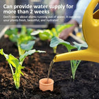 3pcs Ollas 10×3.5×3.5inch Terracotta Watering Pots Self Watering Planter Watering System 30.5oz Plant Watering Globes Clay Watering Pot with lid Terra Cotta Clay Irrigation Globes - Image 4