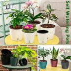 Planterhoma 6.7 Inch Self Watering Pots for Indoor Plants, 8 Packs Self Watering Planters for Orchid, Spider Plant, Devil's Ivy & African Violet, Water Indicator & Black Wick Pots, Black - Image 3