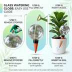 6 Pack 32 oz Extra Large Plant Self Watering Globes to 3 Weeks Watering - Image 4