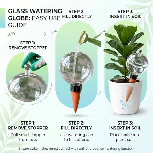 6 Pack 32 oz Extra Large Plant Self Watering Globes to 3 Weeks Watering - Image 4