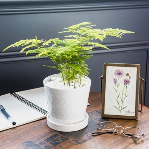 BUYMAX 5in Ceramic Flower Pots Set of 4 Plant Pot with Drainage Hole - Image 4