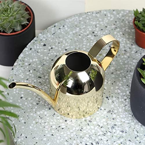 Naysku Long Spout Watering Can, Stainless Steel Rustic Retro Textured - Image 3