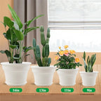 Pottiffe Plant-Pots-Planters-Indoor-Outdoor, 11 inch 4 Pack White - Image 2