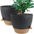 UOUZ 12inch 2Pack Large Self Watering Planters, Plastic Plant Pots with 60oZ Removable Deep Reservoir and Multi Mesh Drainage Holes for Indoor Outdoor Garden Plants and Flowers, Black with Brown by UOUZ
