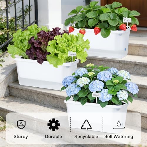 Oliz Window Box Planter 4 Packs, 14 Inches Rectangle Flower Pots with Breathable Drainage Holes, Pots for Vegetables, Herbs, Flowers, Garden Windowsill Balcony (Translucent White) - Image 2