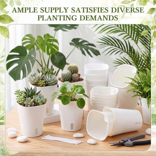 Ziliny 10 Pcs 5.91 Inch Self Watering Planters with Water Indicator - Image 5