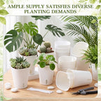 Ziliny 10 Pcs 5.91 Inch Self Watering Planters with Water Indicator - Image 5