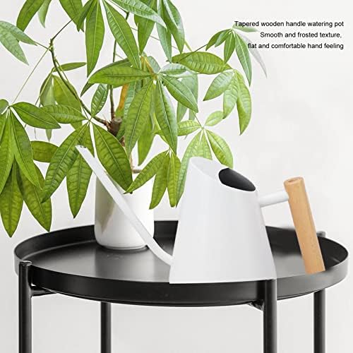 Watering Can, Stainless Steel Strong rustproof Watering can Indoor, Long spout Practical Plant Watering can with Wooden Handle, for Garden[White] - Image 4