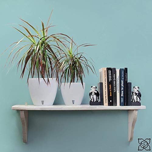Santino 7.9 Inch Deco Self Watering Pots for Indoor Plants in Jade (Set of 3) - Decorative Flower Pot with Water Level Indicator and Drainage Cartridge for All House Plants, Flowers and Herbs - Image 5