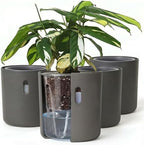 Self Watering Planters, 6 Inch Pot with Water Reservoir, Nylon Wick & Clear Inner Pot, Bottom Water System | Large Self Watering Pots for Indoor & Covered Outdoor Plants | Grey | Pack of 4 by Wavyleaf