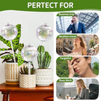 17 oz Extra Large Plant Watering Globes, 4 Pack Self Watering Globes - Image 6
