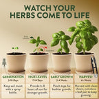 HOME GROWN 4 Herb Indoor Garden Kit, Christmas Gardening Gift for Adults - Image 6