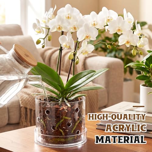 6 Inch Clear Acrylic Orchid Planter Pot with 360° Round Holes & Tray - Image 6