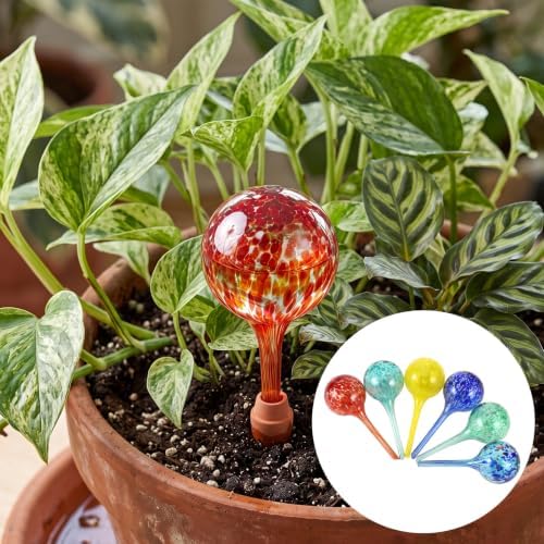Mifoci 6 Set Plant Watering Devices, 6 Glass Water Bulbs with 6 Terracotta Water Spikes for Plants and 2 Funnels, Plant Watering Globes Set for Indoor and Outdoor Garden - Image 6