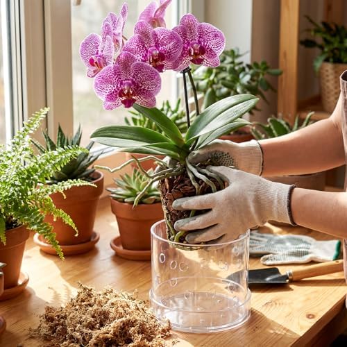 6 Inch Clear Acrylic Orchid Planter Pot with 360° Round Holes & Tray - Image 4