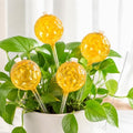 Plant Watering Globes, Gradient Color Glass 9 oz Self Watering Globes by JNTGVINE