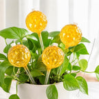 Plant Watering Globes, Gradient Color Glass 9 oz Self Watering Globes by JNTGVINE