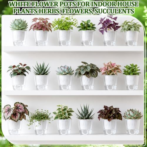 Self Watering Plant Pots, 3.5'', Transparent White, 36 Pcs - Image 6