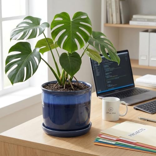 8 Inch Plant Pot: Ceramic Planter with Drainage Hole & Saucer - Flowerpot for Indoor & Outdoor Plants with Separate Tray for Home & Office - Blue - Image 5