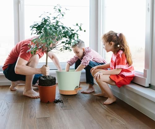 Self Watering Green Plastic Plant Pot Flower Planters with Drainage Hole And Deep Reservoir Large Planting Pots for for All Houseplants,Succulent, African Violets, Flowers and Cactus 12Inch/2pcs - Image 5