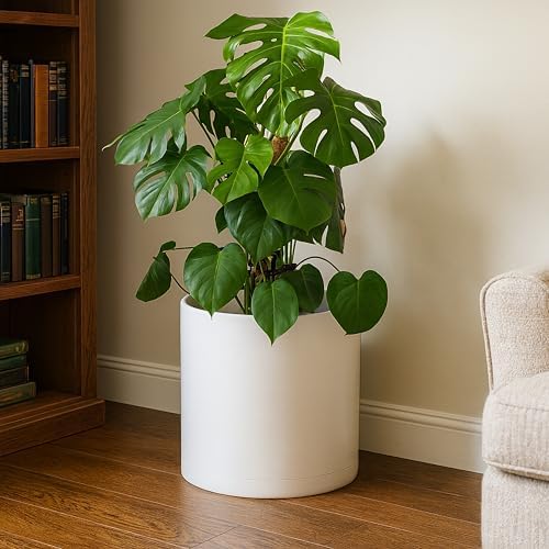 D'vine Dev Plastic Planter Pot with Saucer, 14 in, Oatmeal, 74-X-H-4 - Image 7