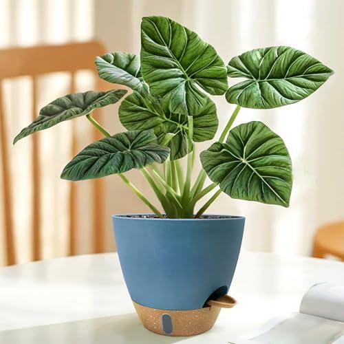 12/10/9/8 inch Self Watering Pots with Visual Water Window, Extra Large Self Watering Plant Pot with Drainage Holes and Saucers, Blue Flower Pots for Indoor Plants - Image 6