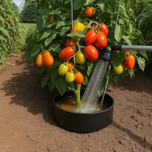 Planting Grow Rings 10 Pack – Interlocking Garden Plant Rings | Garden Rings for Plants Support and Soil Moisture Retention – Planting Rings for Outdoor Plants | Made in USA - Image 5