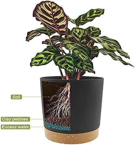 QCQHDU 10 inch Plant Pot, 2 Pack Planters for Indoor Plants with Drainage Holes & Saucer, Outdoor Flower Pots Home Garden Modern Decor - Image 4