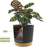 QCQHDU 10 inch Plant Pot, 2 Pack Planters for Indoor Plants with Drainage Holes & Saucer, Outdoor Flower Pots Home Garden Modern Decor - Image 4