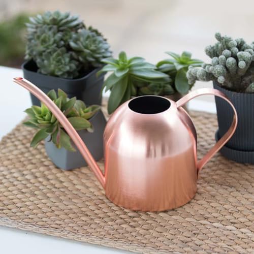 Stainless Steel Watering Can with Long Mouth Ml for Plants and Flowers - Image 2