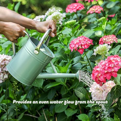 1 Gallon Watering Can for Plants, Watering Cans for Indoor&Outdoor Gardening, Galvanized Steel Watering Pot with Removable Spout, Metal Water Can with Ergonomic Movable Handle(Cream Green) - Image 6