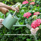 1 Gallon Watering Can for Plants, Watering Cans for Indoor&Outdoor Gardening, Galvanized Steel Watering Pot with Removable Spout, Metal Water Can with Ergonomic Movable Handle(Cream Green) - Image 6