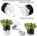 Nihow Ceramic Self Watering Plant Pot for Indoor Plants,6 Inch,Black White - Image 3
