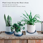 2 Pack of 22 inch Plant Saucer, Large Plant Tray, Heavy Sturdy Plant Drainage Tray for Indoors, Bird Bath Bowls, Sturdy Plastic Pot Tray for Planter 20 21"(Blue) - Image 5