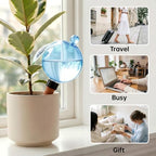 EX-Large Plant Watering Globes, 26oz Plastic Top Fill Self Watering Globes - Image 5
