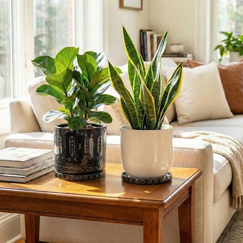 EightPot Plant Trays for Pots 7.5 Inch, 2 Pack Flower Pot Saucers, Round Ceramic Plant Saucers for Indoors Outdoors, Modern Plants Plates to Catch Water, Decorative Plants Dishes to Catch Water, Black - Image 4