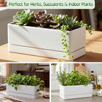 D'vine Dev 2-Pack Rectangular Planters, 12 x 4.5 in, White, 76-X-A-2 - Image 4