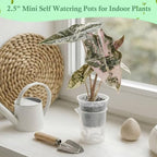 30 Pcak 2.2'' Small Self Watering Planters for Indoor Plants Mini Clear Pots with Water Level Indicator Plastic Automatic-Watering Pot with Drainage Holes for Semi-hydroponic African Violet - Image 5