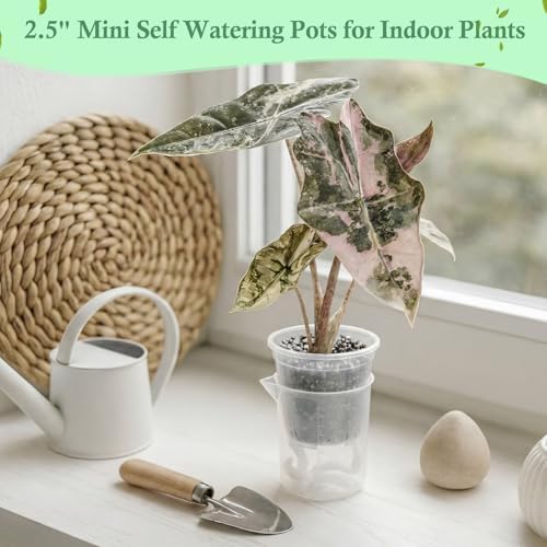 30 Pcak 2.2'' Small Self Watering Planters for Indoor Plants Mini Clear Pots with Water Level Indicator Plastic Automatic-Watering Pot with Drainage Holes for Semi-hydroponic African Violet - Image 5