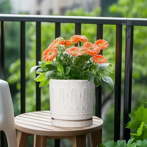 Eightpot Plant Tray for Pots - Ceramic Plant Saucer for Indoors Outdoors 7.5 Inch Plant Water Catcher Tray Plant Drainage Dray Decorative Flower Pot Saucer Plant Plates to Catch Water, Cream White - Image 2