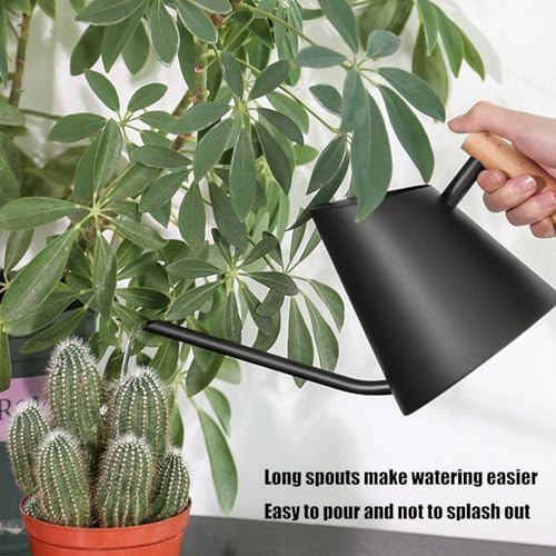 Indoor Watering Can for House Plant Stainless Steel Watering Can Metal with Long Spout Indoor Plant Pots Long Spout - Image 5