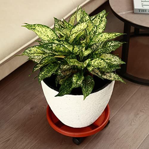 10 Packs Large Plant Caddy with Wheels 13" Rolling Plant Stands Heavy-duty Plastic Plant Roller Base Pot Movers Plant Saucer on Wheels Indoor Outdoor Plant Dolly with Casters Planter Tray Rust Red - Image 4